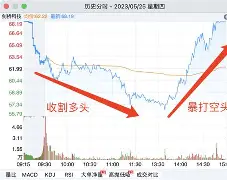 专家称MATIC将在年底冲破12.58美元，引发引发关注-开云