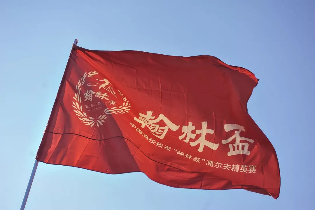 常规赛巅峰对决！岭东烈马队火力全开徽州风暴队，跆拳道赛场再起波澜；高压逼抢成功的简单介绍